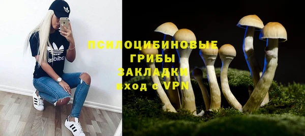 крисы Зеленокумск