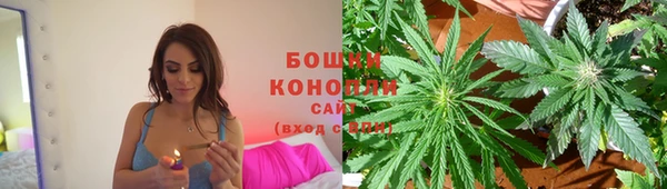 крисы Зеленокумск