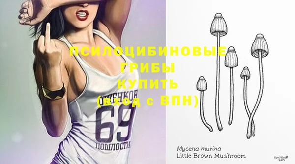 крисы Зеленокумск